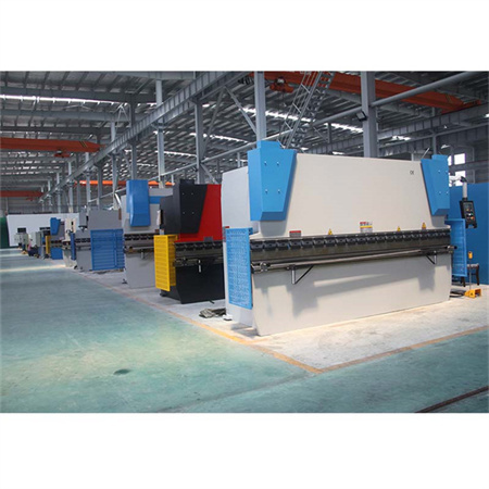 8 MM 250 de tone tablă metalică CNC automată presă hidraulică frână mașină de îndoit